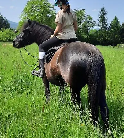 Feriehus Dom Nad Zalewem