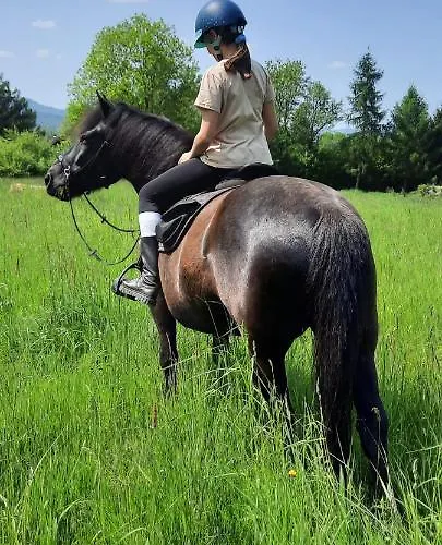 بيت للعطل Dom Nad Zalewem